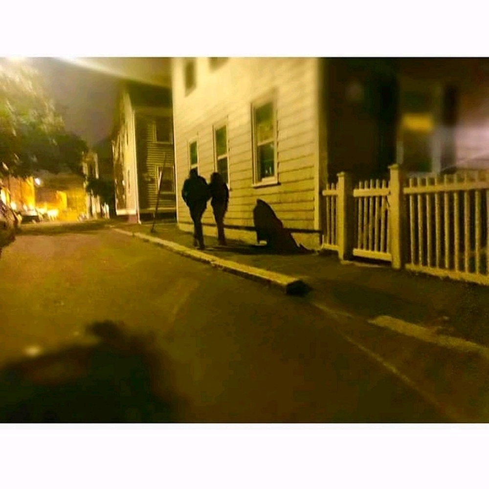 Meet your Posher, Kaleidoscopes | Moths